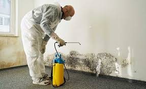 Best Mold Remediation for Healthcare Facilities in Babbitt, MN