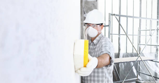  Babbitt, MN Mold Removal Pros