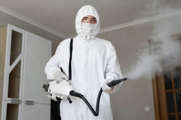 Best Biohazard Mold Removal in Babbitt, MN